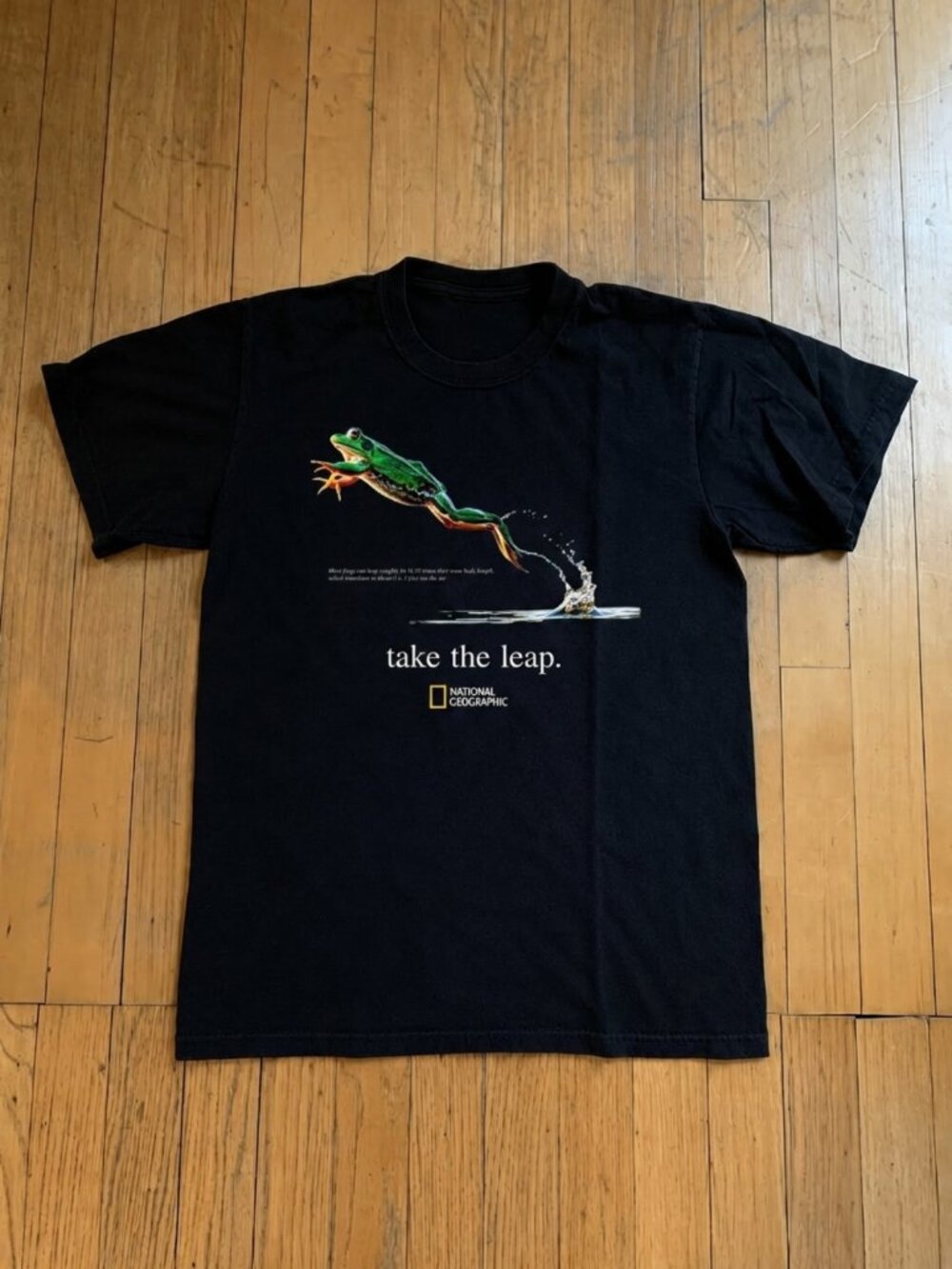 Take the Leap Frog t shirt - Vintage 2001 National Geo Society Graphic Tee